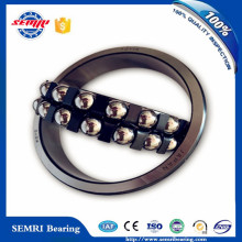 OEM China Factory Self-Aligning Ball Bearing with High Quality (1210k+H210)